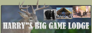 harrys_big_game_logo.jpg